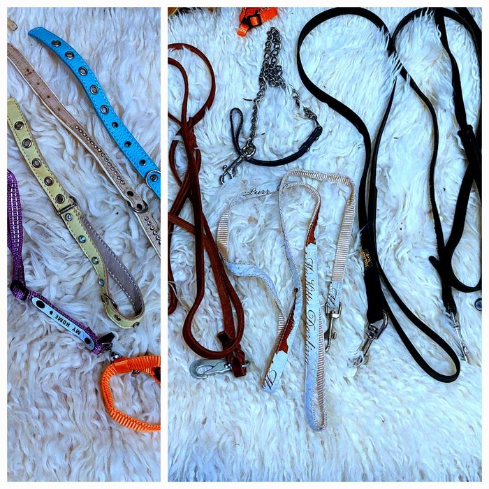 Одежда , поводки для собачек