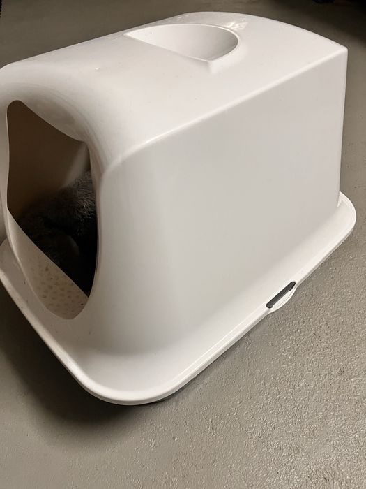 Casa + Almofada (Gato/a)