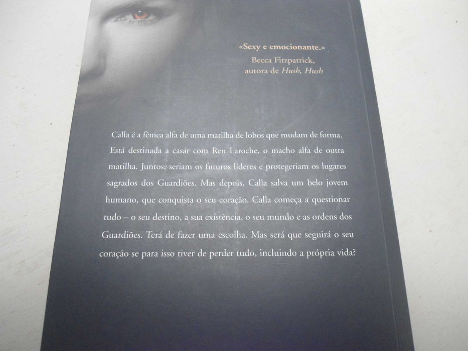 Sombras da Noite por Andrea Cremer