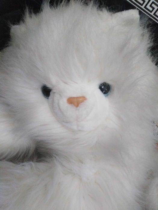 Peluche de Gatinho  ( 50 Cm ).
