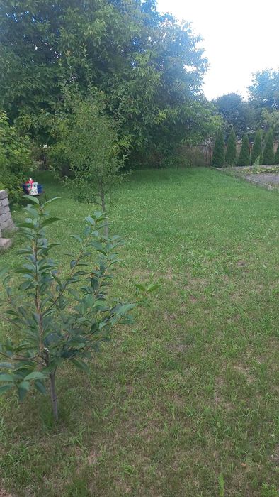 2 działki ROD [Poznań Ogrody działkowe Górczynka]