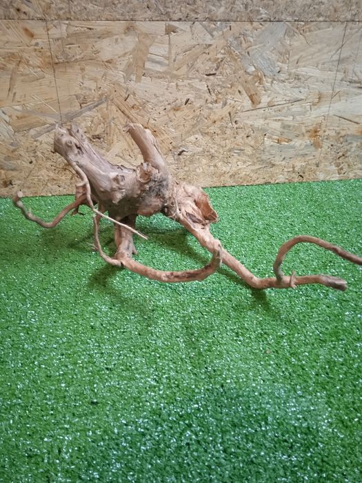 Korzeń do akwarium Red Moore Wood nr 168 o wymiarach 26/30/28