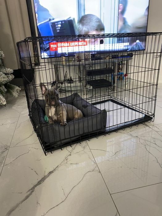 Клетка, клітка для собак, транспортний бокс, переноска