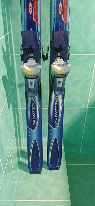 Лижі гірські Salomon Evolution