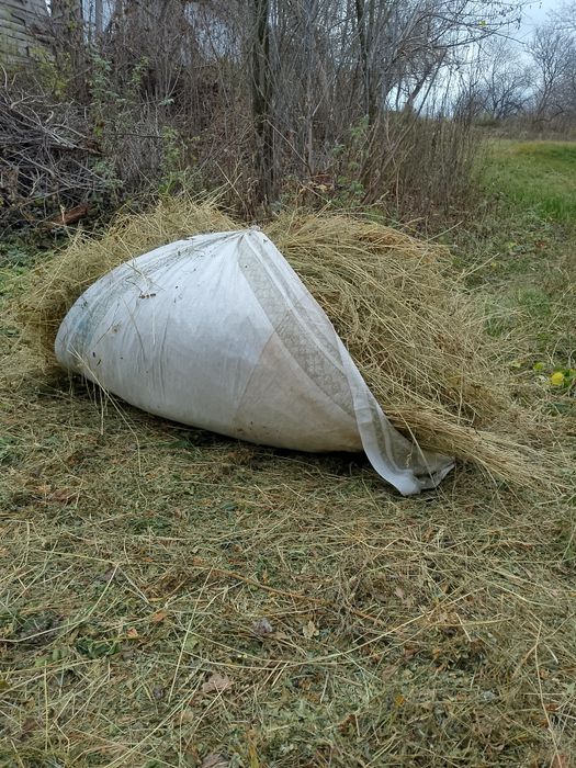 Продається  сіно рознотравья