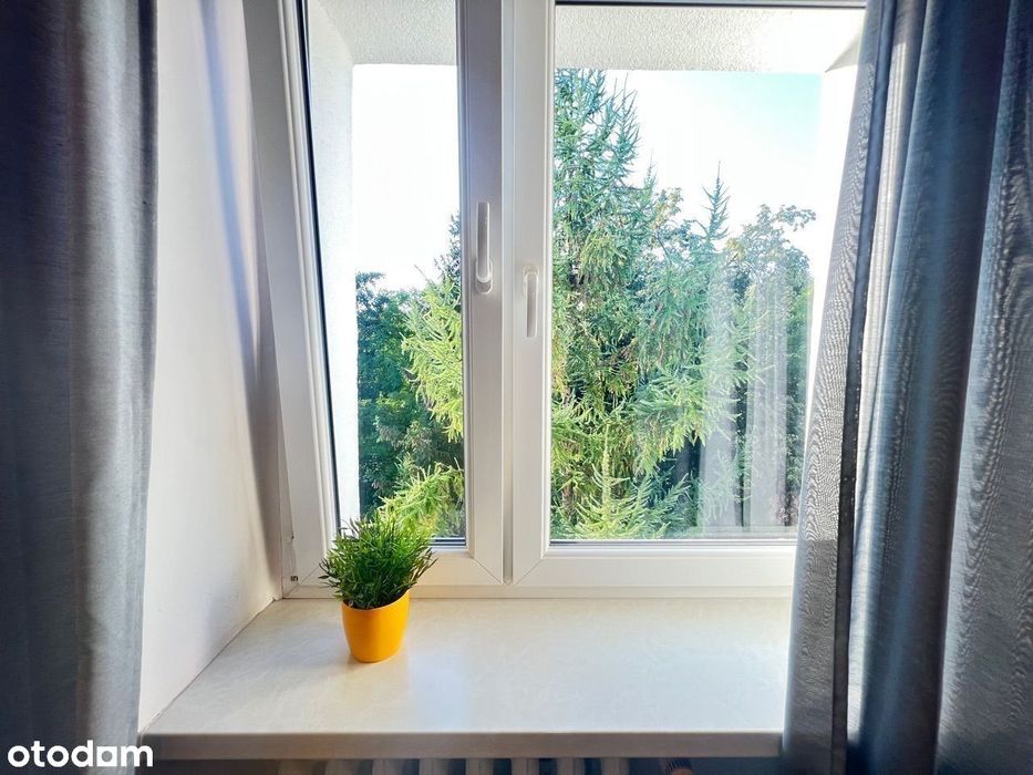 Mieszkanie – Gliwice, Śródmieście - Widok 4