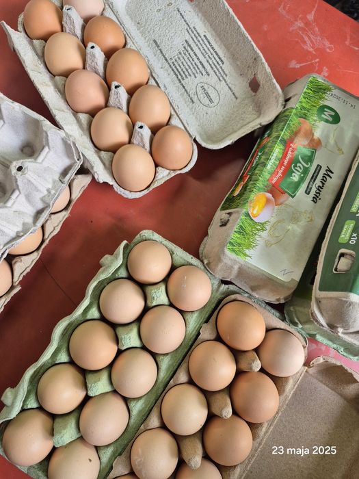 Jajka wiejskie Zapraszamy