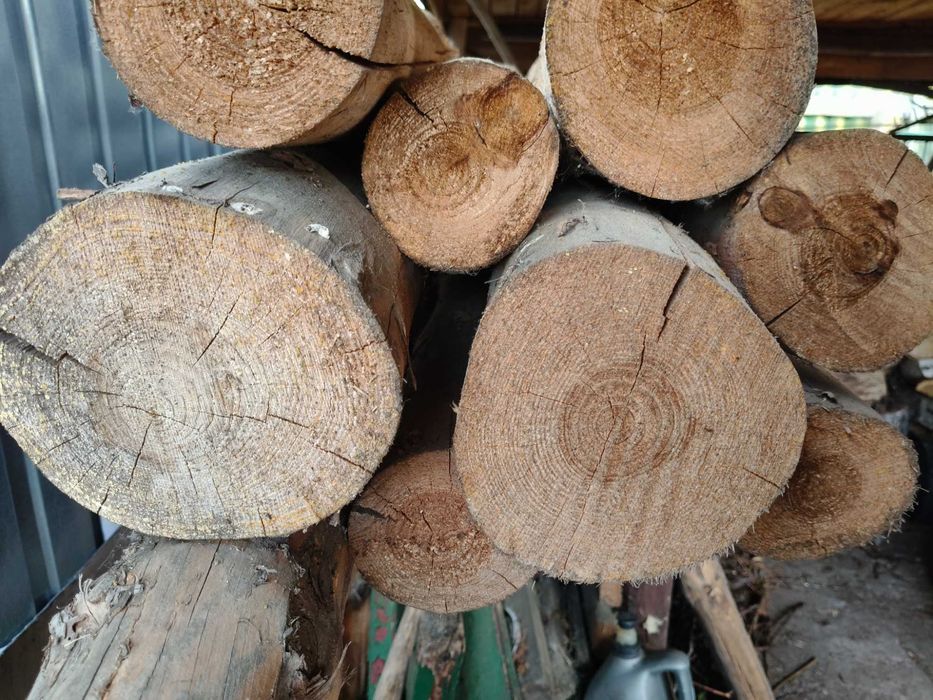 Belki okrągłe sosnowe, żerdzie, palisada – SUCHE, 3,5m (8 szt.), dodatek GRATIS - deski i kantówki