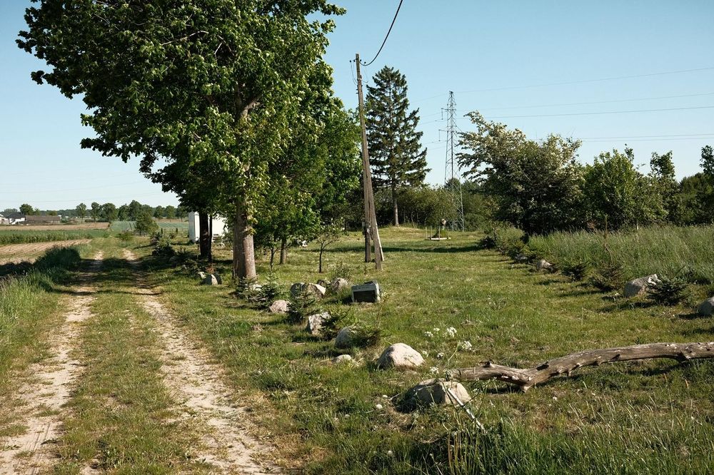 Zdjęcie 8