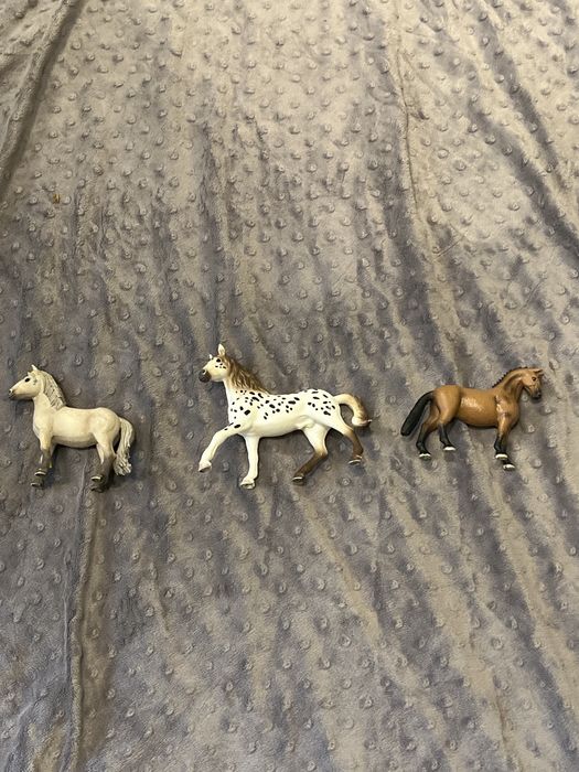 Sprzedam konie schleisch