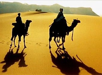 DVD Lawrence of Arabia
