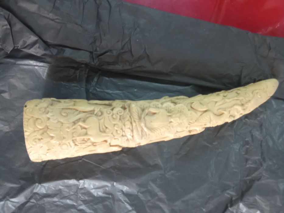 Dente elefante. A evolução da espécie humana.