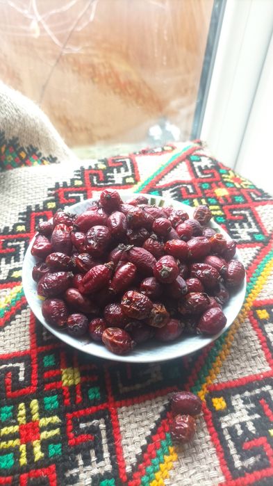 Продам шипшину сушену з Карпат