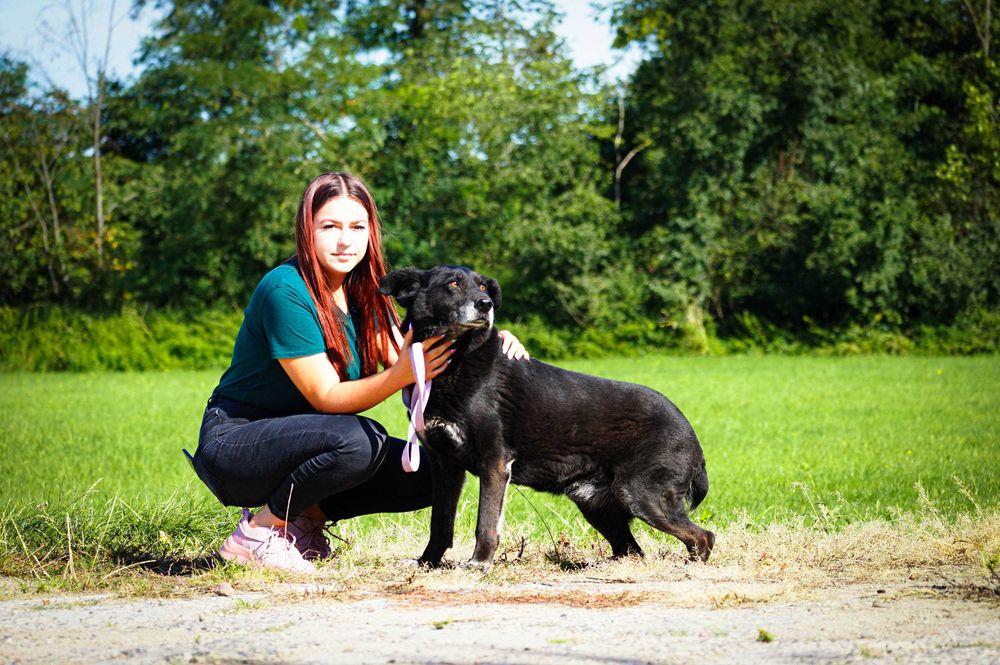Baton - psiak w Wojtyszek szuka domu