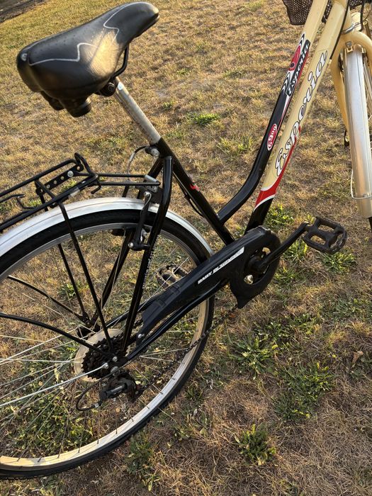 Rower miejski Esperia