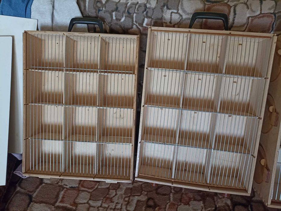 Transporter dla ptaków duży