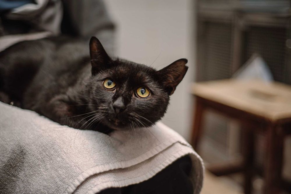 On nie prosi o miłość. On prosi, żeby go nie skrzywdzić. Daj szansę!