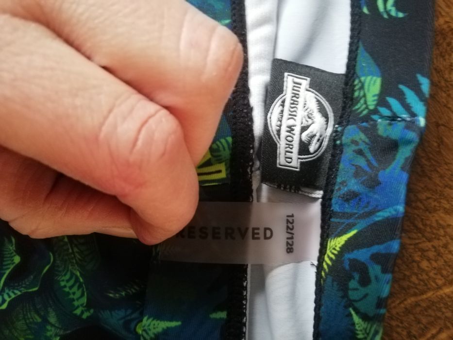 Kąpielówki dinozaury