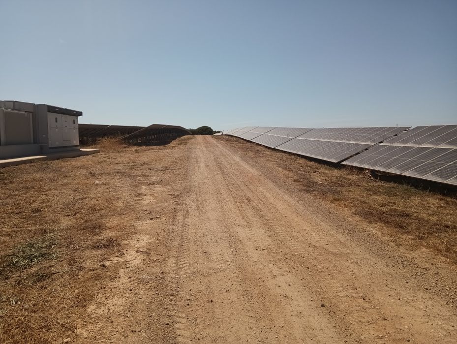 Limpeza de terros/Manutenção de jardins