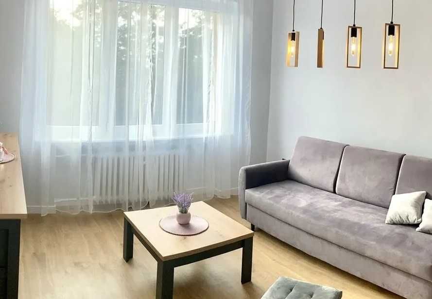 Fajny pokój do wynajęcia! Lokalizacja - perełka!