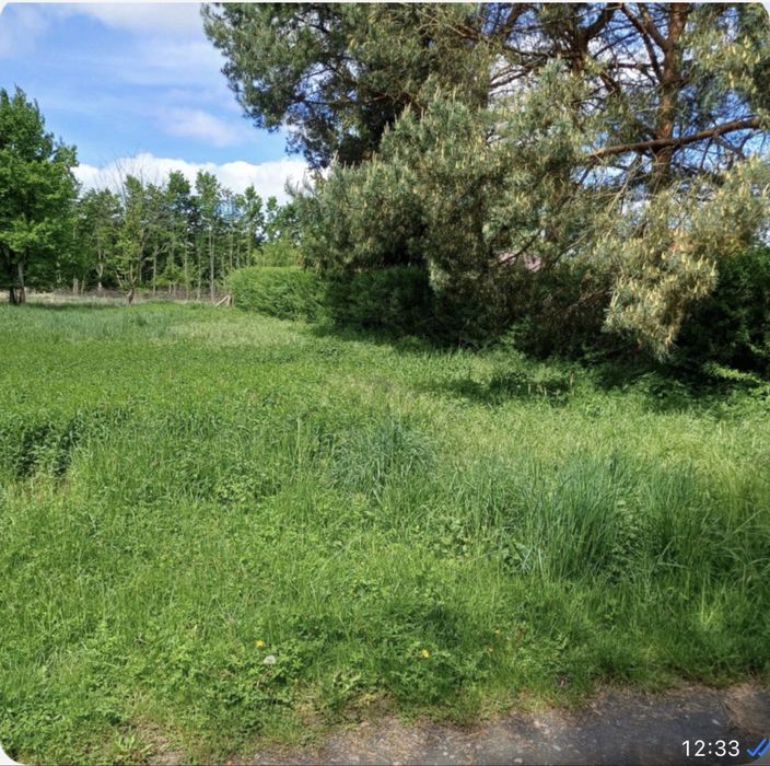 Dzialka budowlana w zielonej  okolicy | JARY | 729 m²  | CENA DO NEGOCJACJI