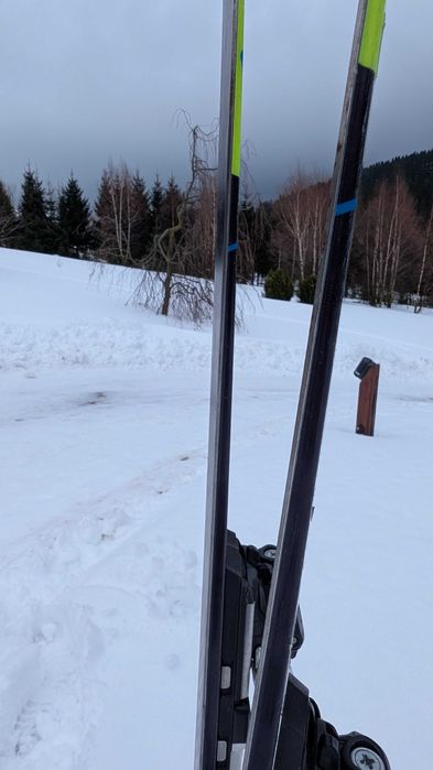 Narty zjazdowe  Salomon xRace JR GS 166