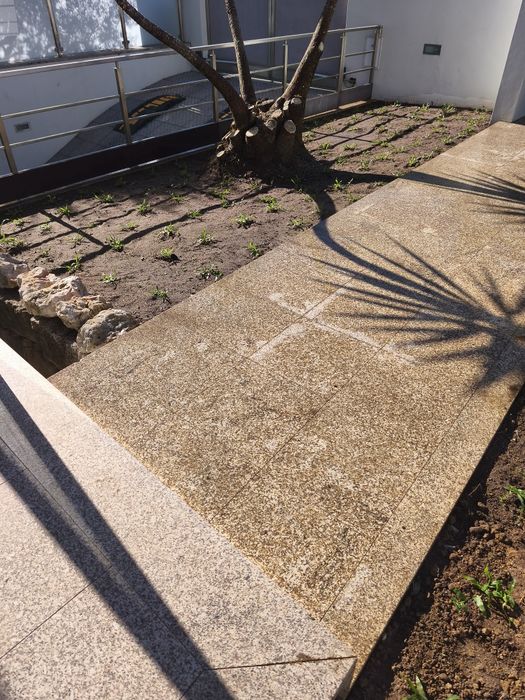 Serviços jardinagem