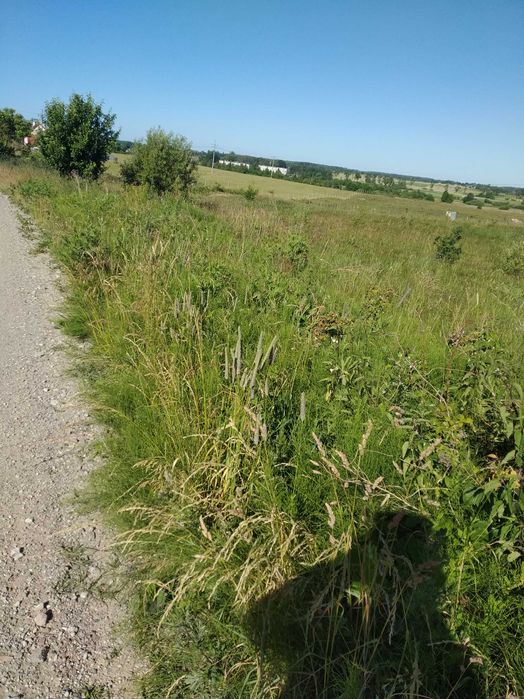 Bezpośrednio    działki      blisko      miasta     i     lasu.
