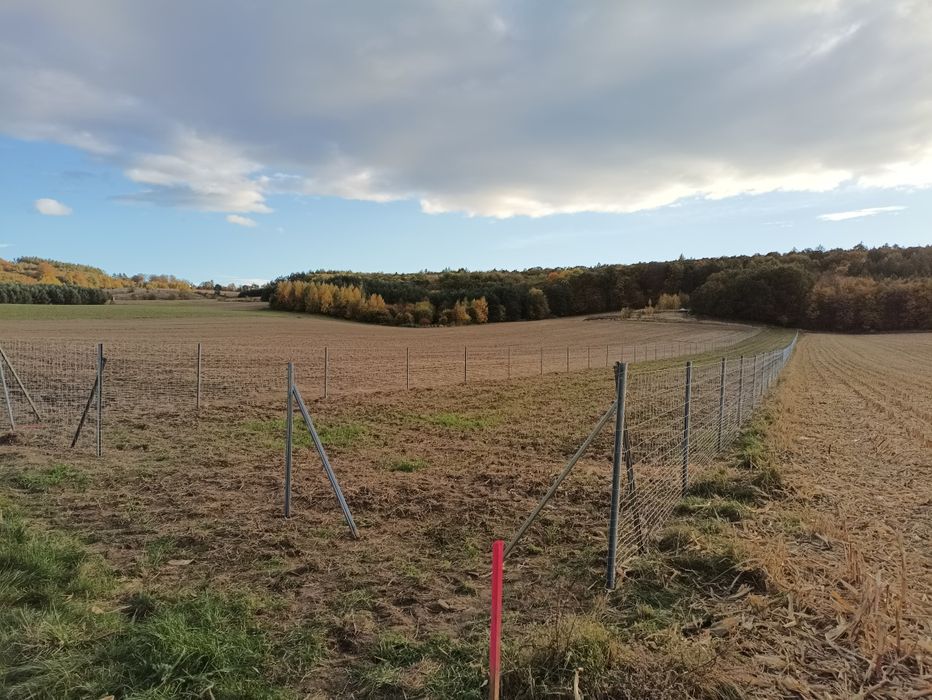 Ogrodzenie systemowe, tymczasowe ,budowlane, leśne ,siatka leśna