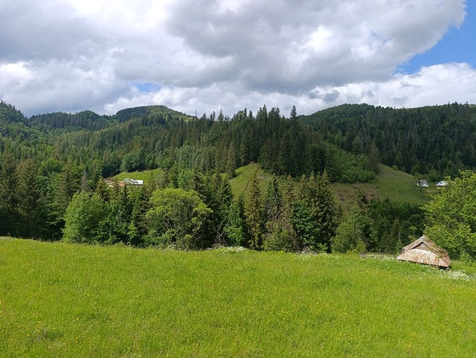 Земельна ділянка 0,63 га в Карпатах | Снідавка, Косівський район | 35 000 $