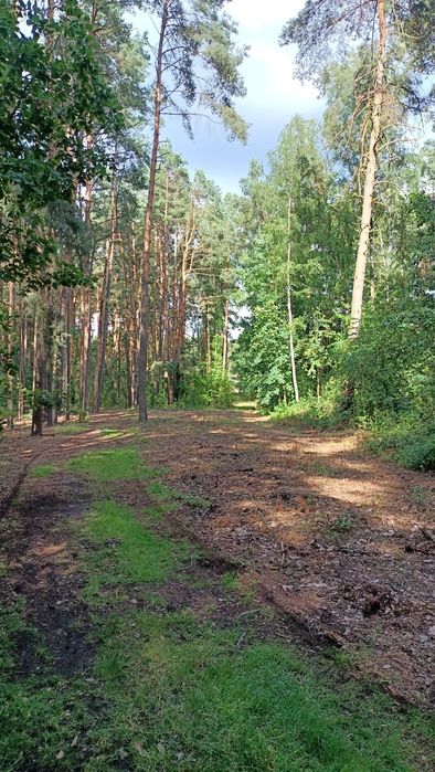 Sprzedam nieruchomość gruntową - Widok 3