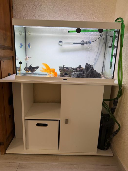 Aquaria Aquatlantis com movel