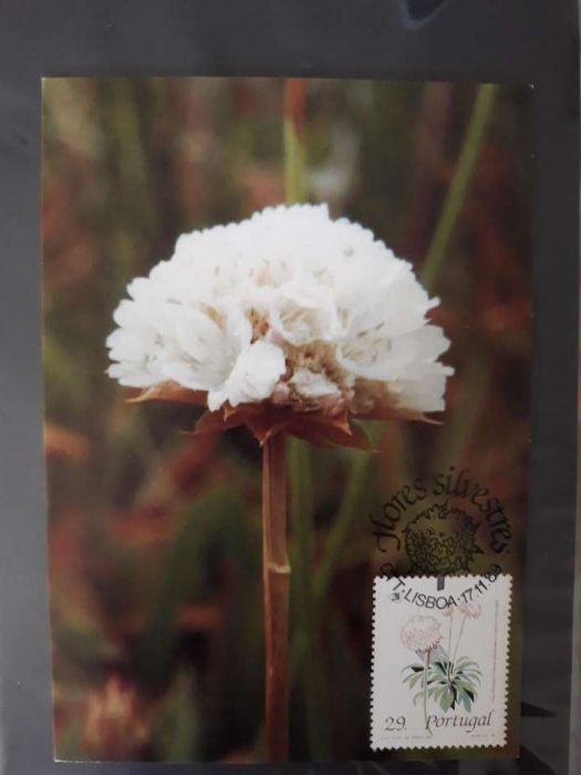 4 Inteiro postal 1989