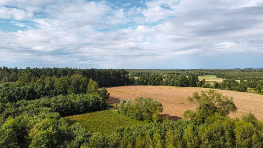 Działki otulone lasem z warunkami zabudowy, las - Widok 3