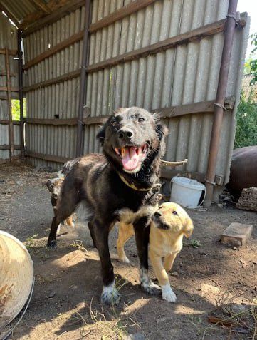 Дівчинка Тайра 7  місяців