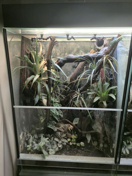 Terrarium 70x56x100cm