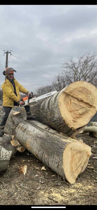 Зрізання аварійних дерев.Порізка на дров.а.Подрібнення гілля.