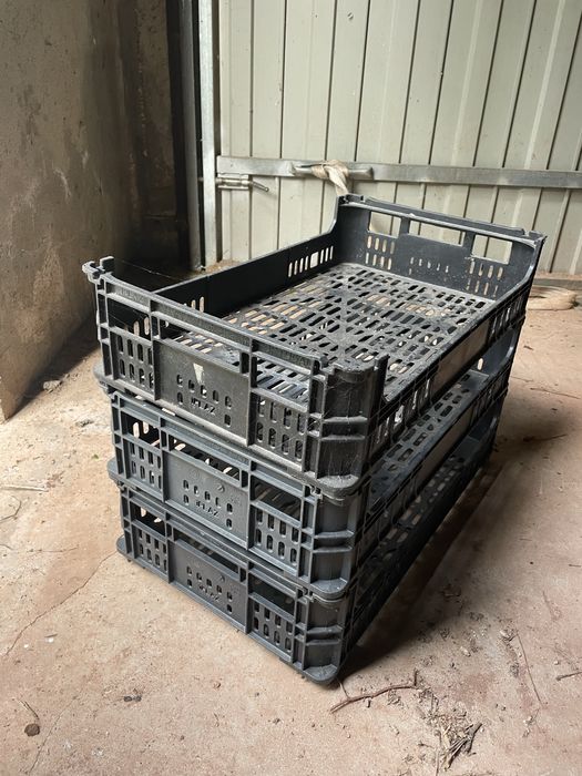 Caixas de fruta, de uma camada