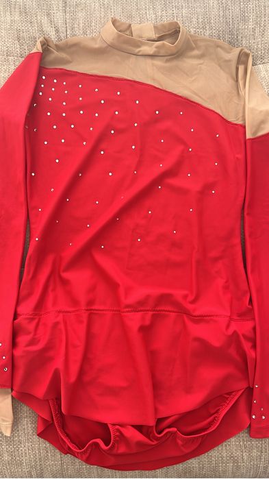 Fatos patinagem ou ginastica artistica