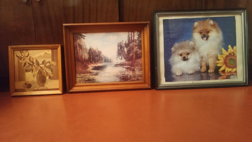 Продам картины в рамках