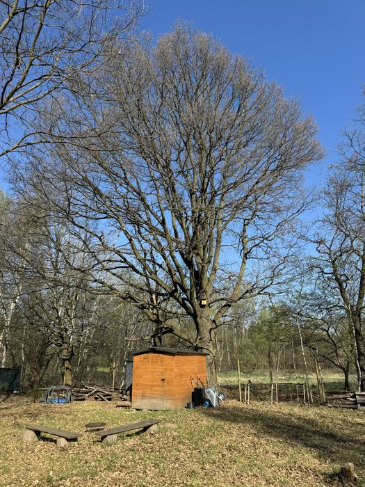 Działka ROD - Maślice, ogródek działkowy- 800 m2.