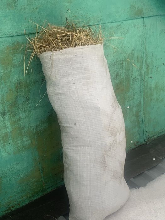 Лугове сіно є люцерка конюшина