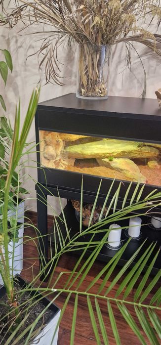 Sprzedam  Terarium 150 cm