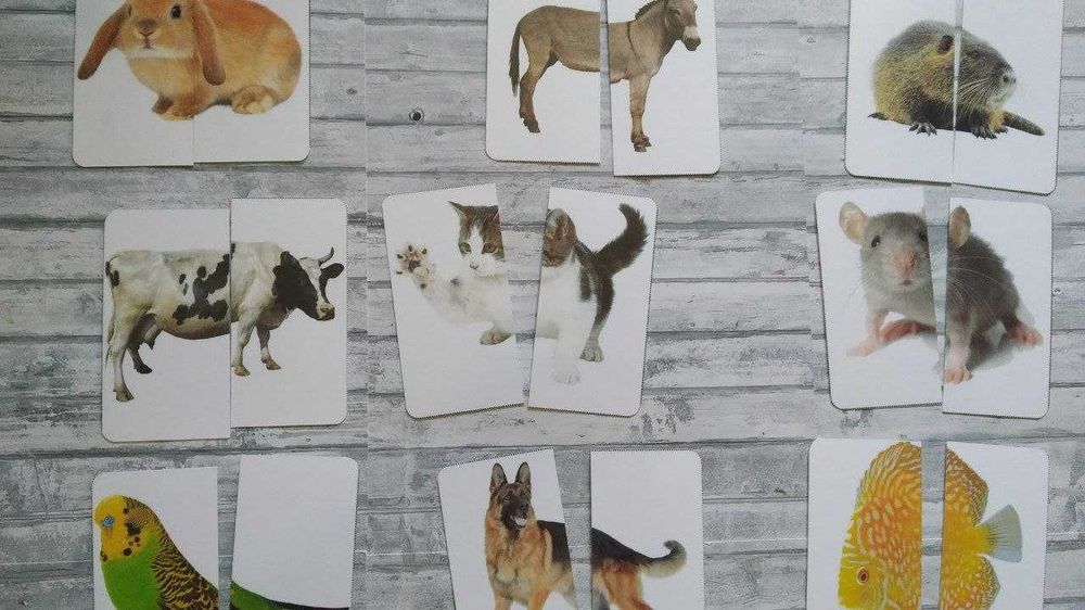 Картки-частинки половинки Знайди пару монтессорі домана