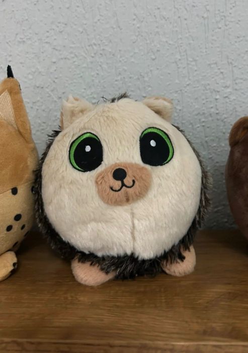 Peluches bando do bosque