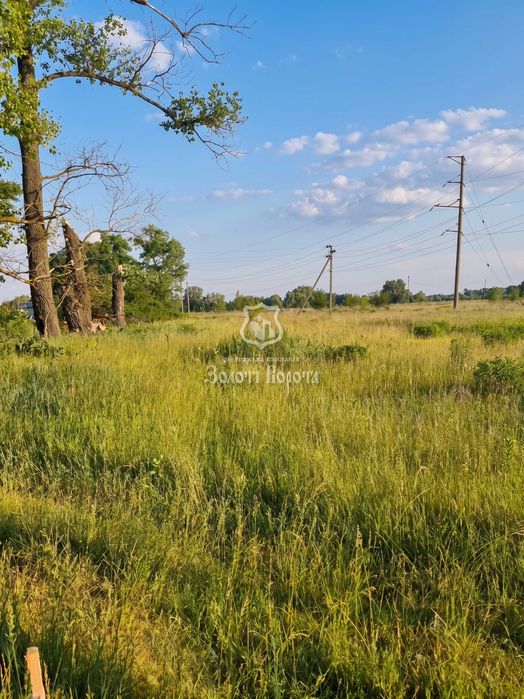 Ділянка, 15 соток. село Пухівка, Вербова, 2, Броварський район