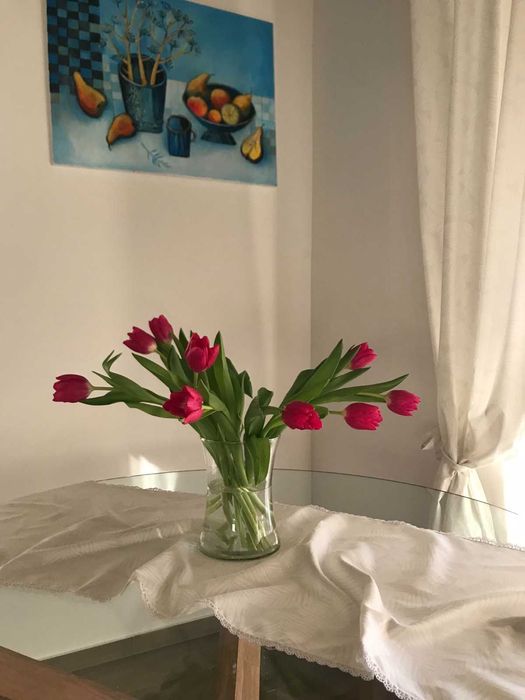 Вілла "Параня" з чаном-джакузі, Майдан (Жовківська ТГ)