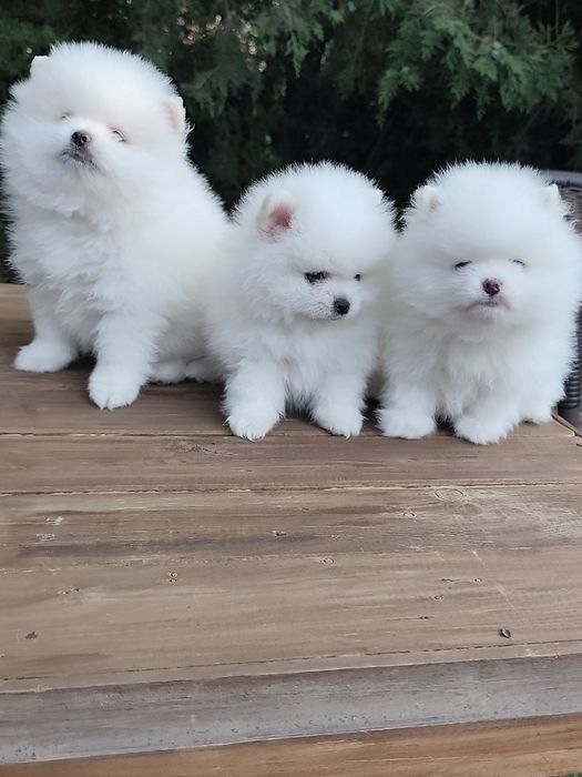 Гарненькі Дівчатка,та Хлопчики!