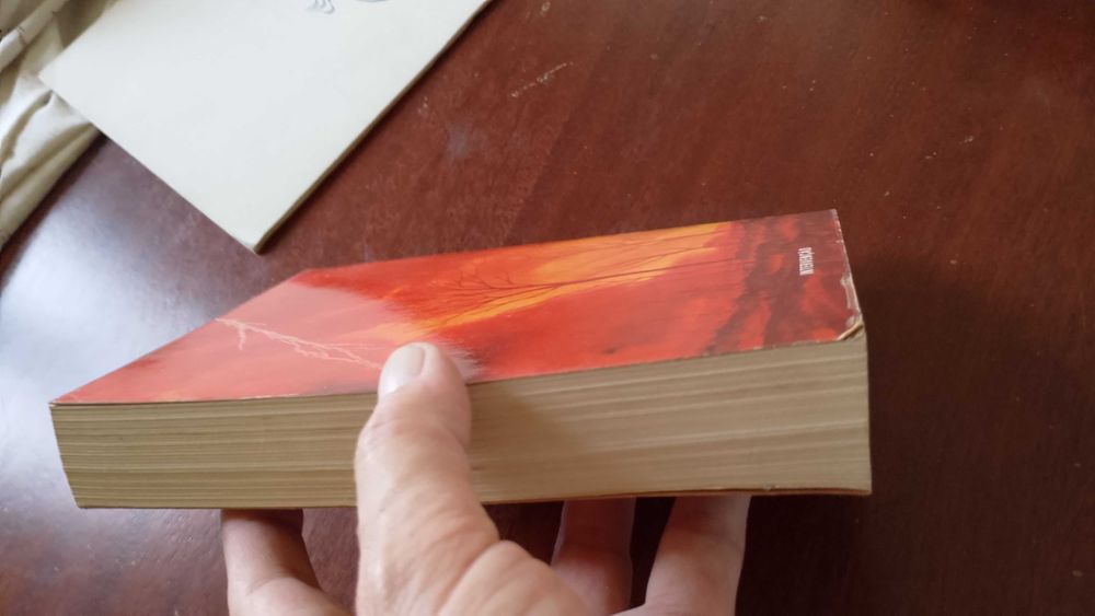 Moçambique Terra Queimada 1976 Jorge Jardim