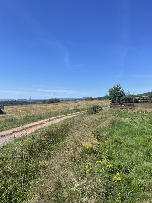 Działka budowlana w Sędzisławiu